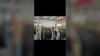 Identificazione del nucleo del cavo aereo in bundle tramite nervature e figura stampata al laser